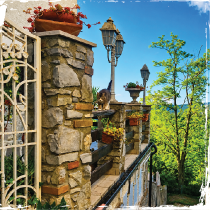 Villa Carinci Images-17